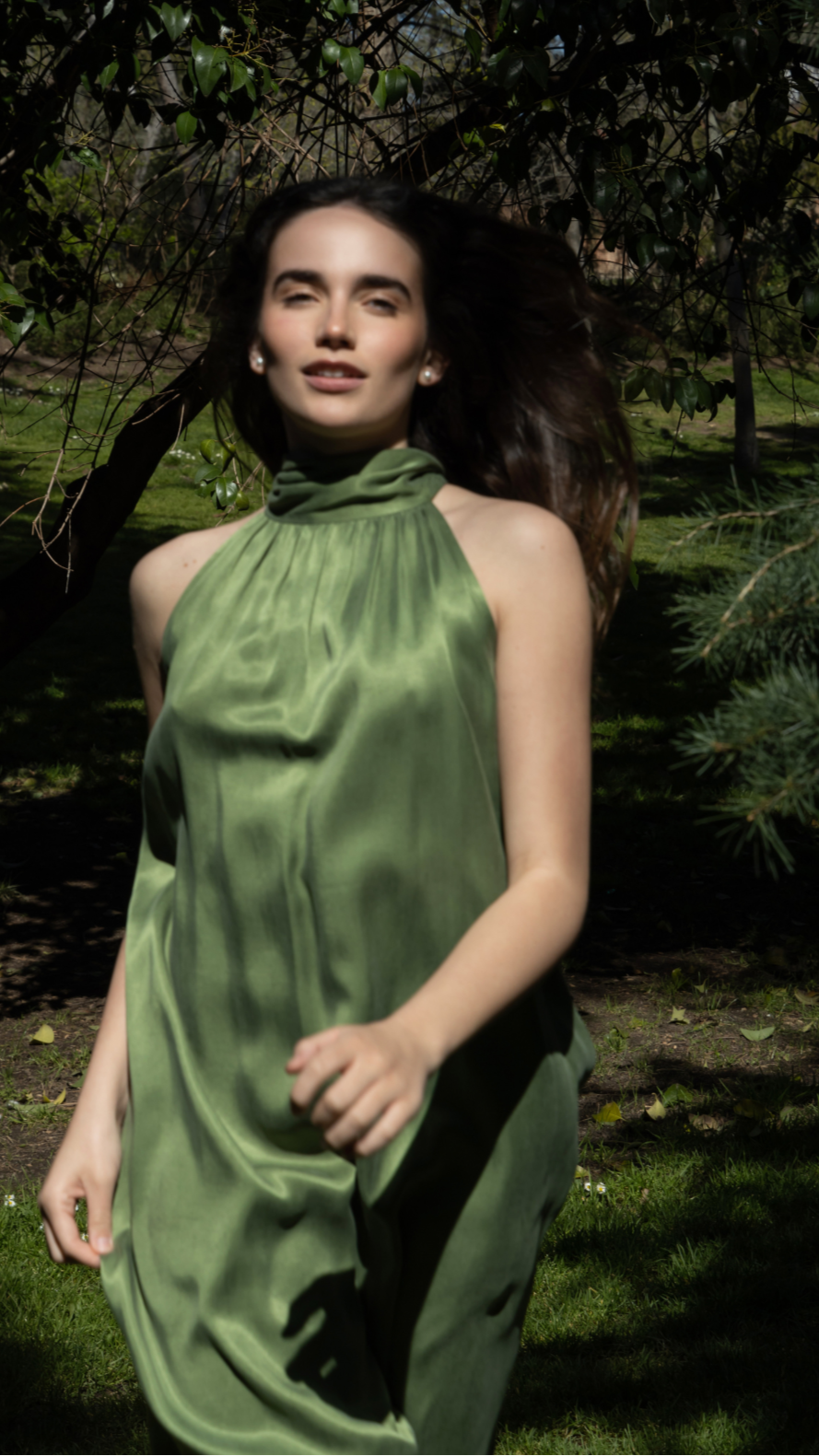 Vega Dress