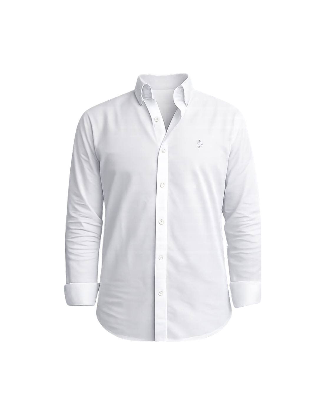 Oxford Shirt
